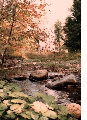 my-photo-of-a-shallow-stream-in-Vermont--taken-in-the-early-autumn--and-the-stream-is-bordered-by-tall-trees-which-are-starting-to-change-their-colors"