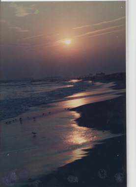 My-photo-of-the-ocean-at-dusk--with-waves-which-look-very-purple--and-are-gently-rolling-onto-the-silver-toned-sand--and-the-light-gold-sun-is-still-fairly-high-in-the-sky--and-in-the-foreground-is-a-tiny-dark-brown-bird-and-it-is-watching-closely-for-any-types-of-food-to-be-left-by-the-waves-as-they-slowly-recede-back-into-the-ocean"