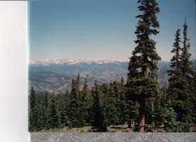 my-photo-of-a-scene-outside-Boulder-Coloraddo--which-has-tall--green--fur--trees-in-the-foreground--and-in-the-distance-are-snow-capped-rocky-mountains--and-the-sky-while-misty-is-still-a-crisp-brilliant-blue"