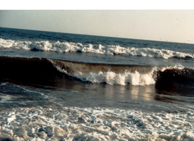 my-photo-of-two-waves--one-directly-behind-the-other--each-having-bright-white-crests-as-the-waves-are-breaking--as-they-come-towards-the-shore-line--and-contrasted-by-the-deeperr-blue-color-of-the-base-of-the-waves"